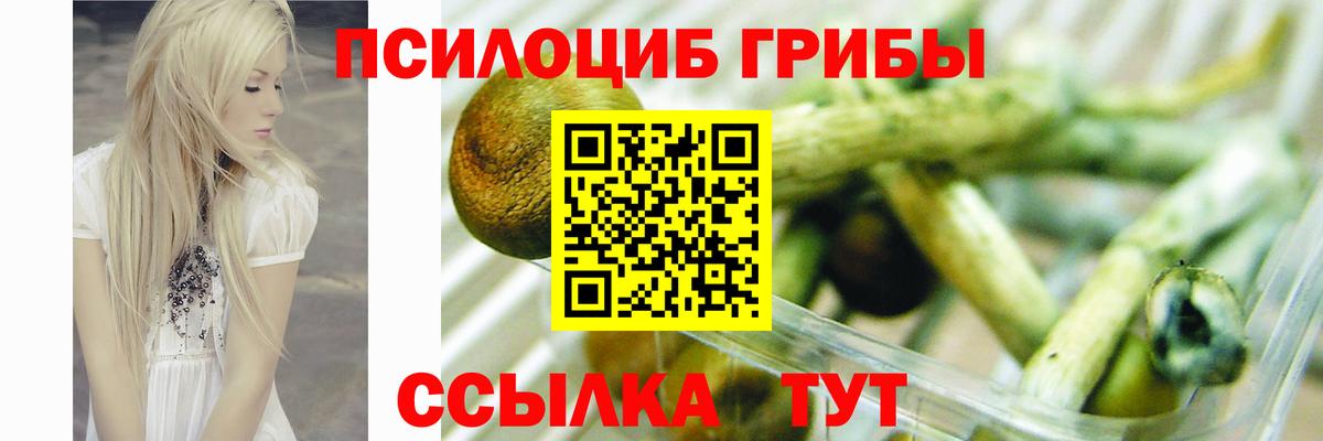 Галлюциногенные грибы Psilocybine cubensis  Вход с VPN  Псилоцибиновые грибы Psilocybine cubensis  Салехард 